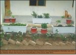Govt.-Girls-Secondary-School-Khyaban-Sirsyed-Sept-2011 (4).jpg